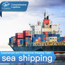 Reliable freight forwarding company in Shenzhen providing global express services from China to the UK USA Germany France by sea